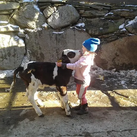 Almhuette Gorgasser Dağ evi