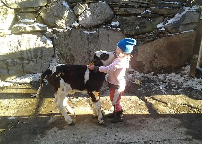 Almhuette Gorgasser シャレー