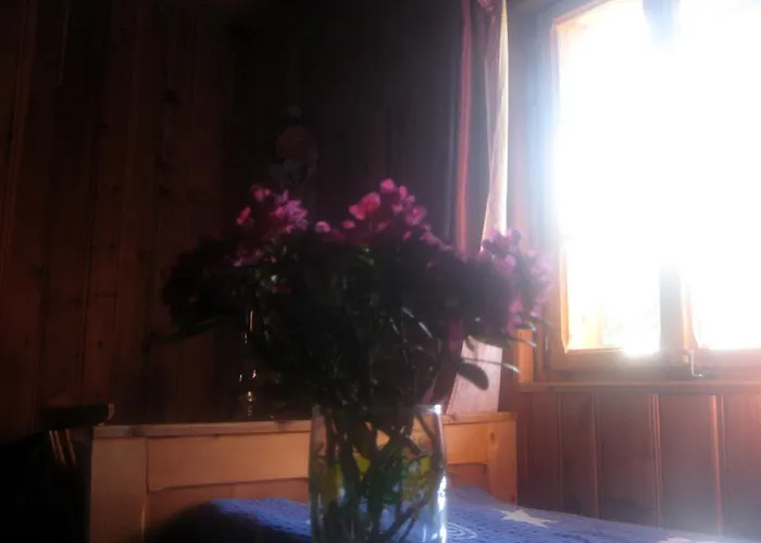 Almhuette Gorgasser *